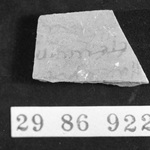 274039