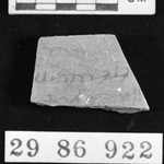 274071