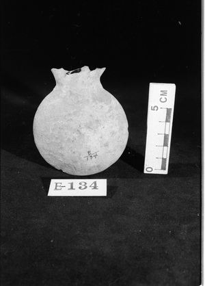E134