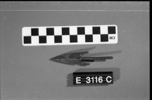 E3116C