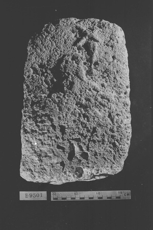 E9501