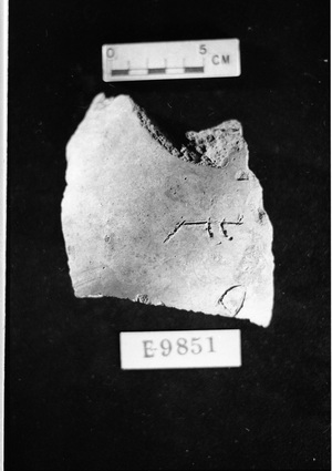 E9851