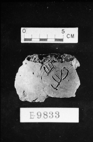 E9833