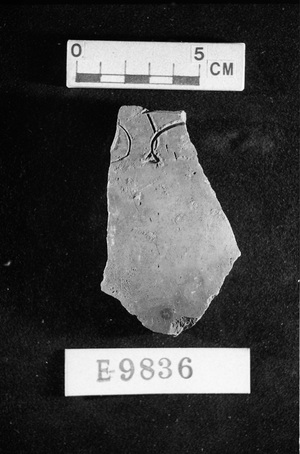 E9836