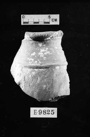 E9825