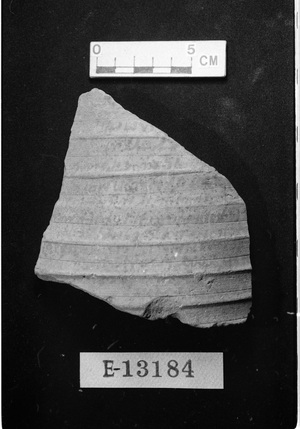 E13184