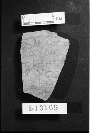 E13169