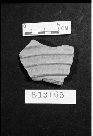 E13165