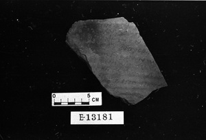 E13181