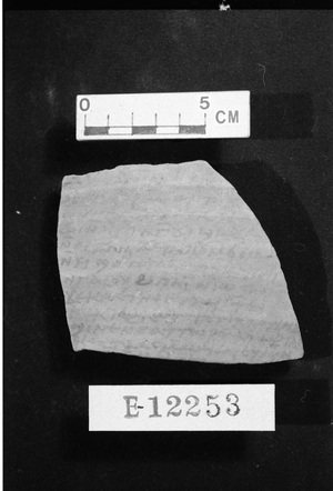 E12253