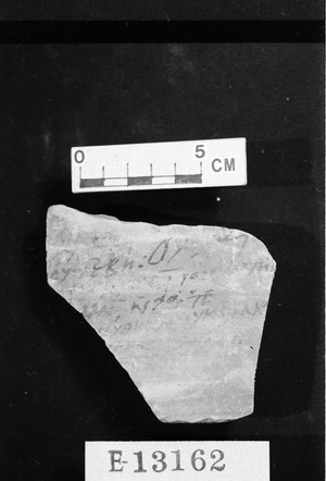 E13162