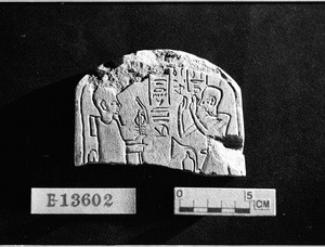E13602