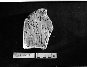 E13611
