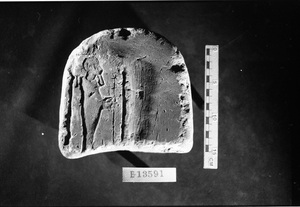 E13591