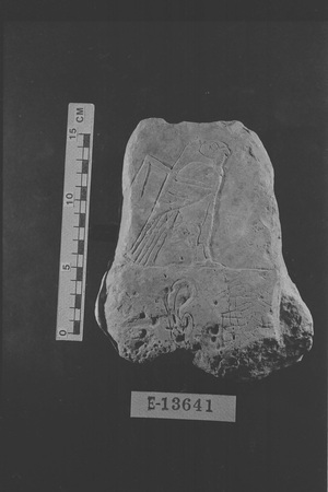 E13641
