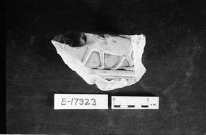 E17323