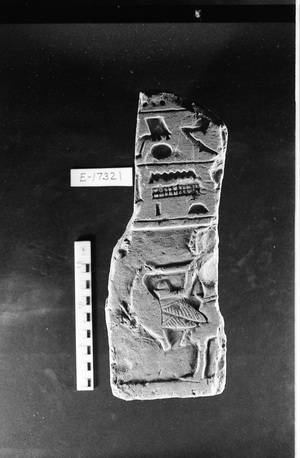 E17321