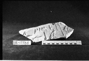 E17785