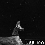 276446