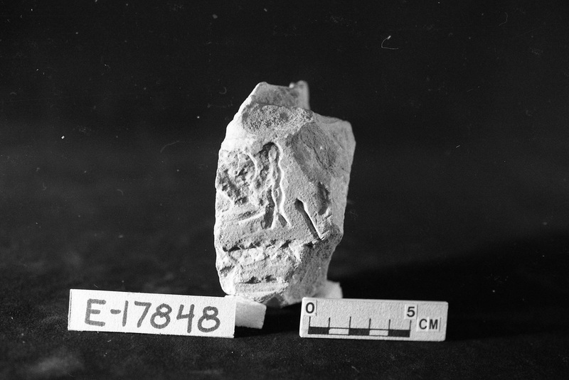 276491