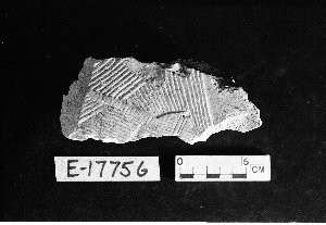 E17756