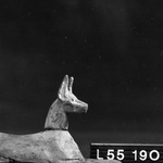 276531