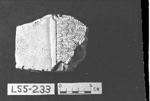 L-55-233