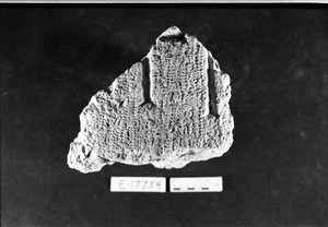 E17754