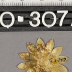 277562