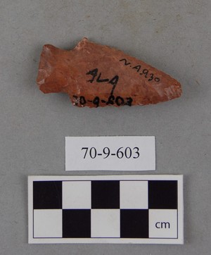 70-9-603