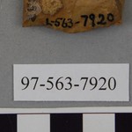 277801