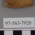 277817