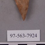 277818