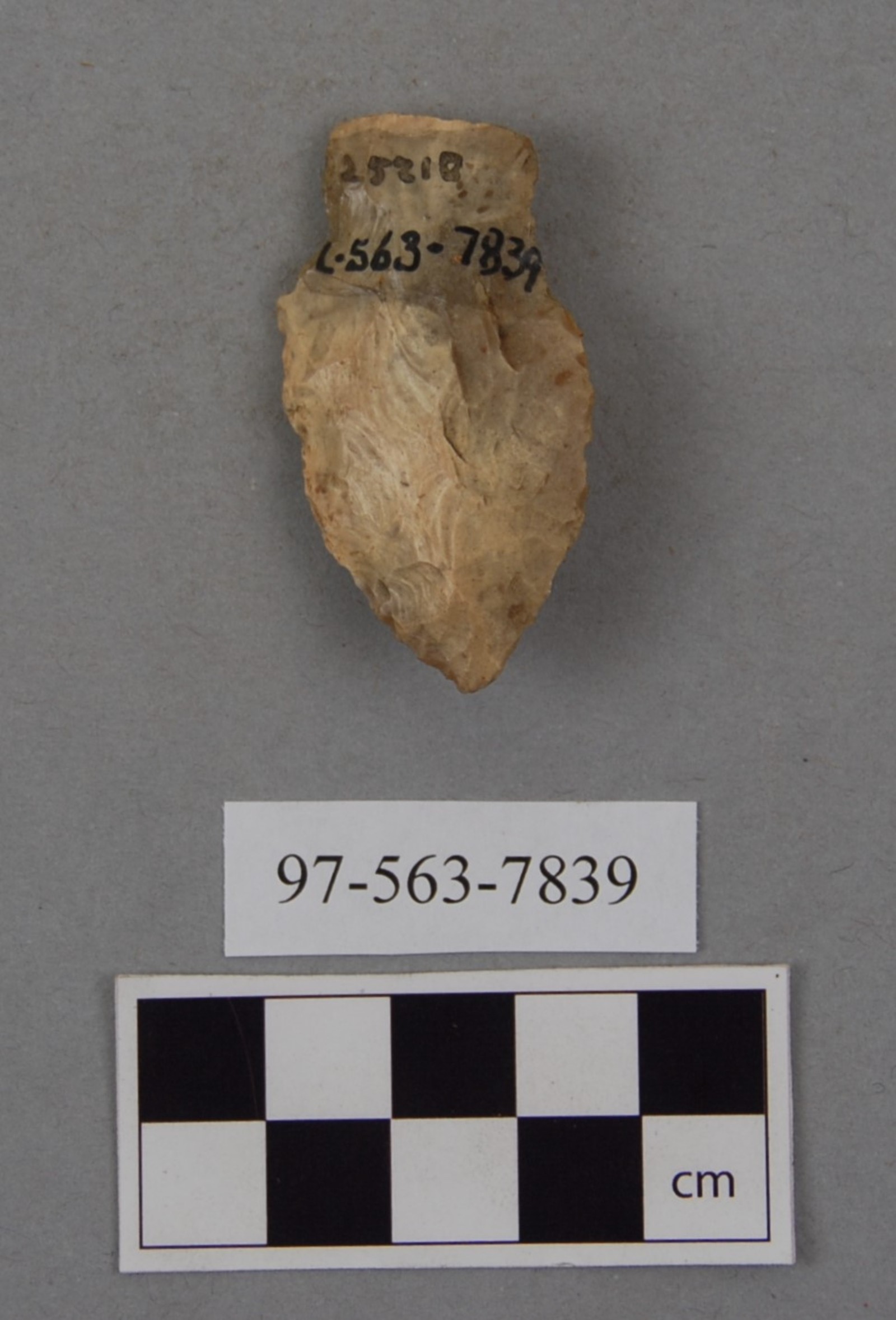 277826