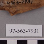 277836