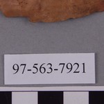 277849