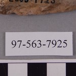 277850