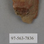 277857