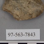 277859
