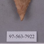 277865