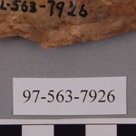 277866