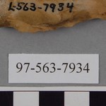 277905