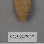 277906