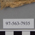 277941