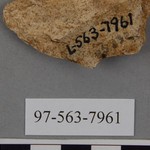 277966