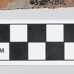278153