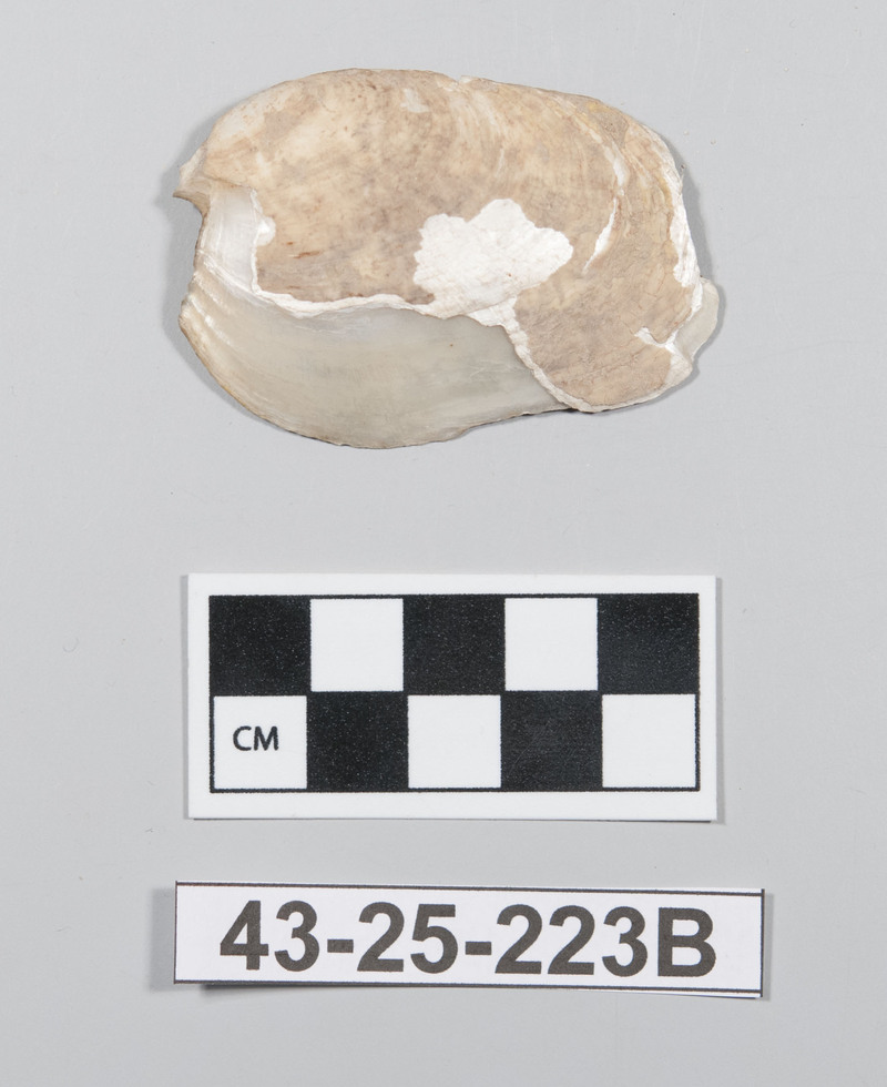278211