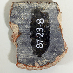 279447