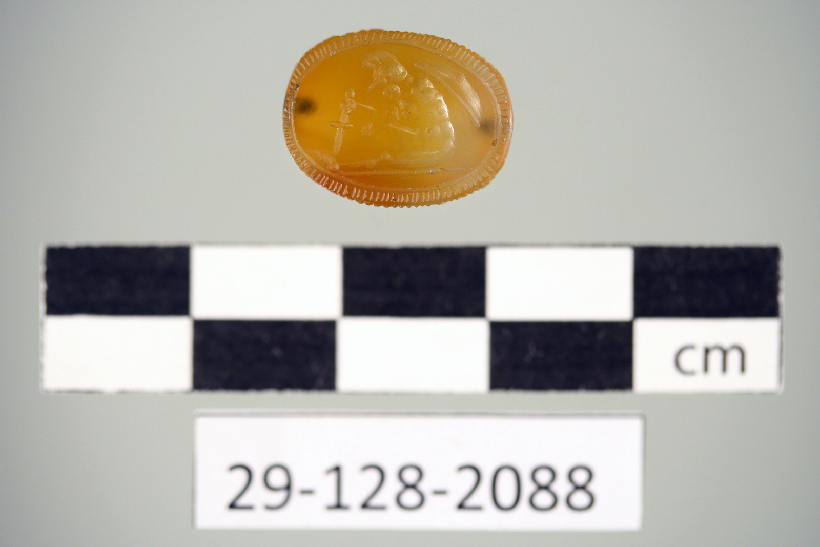 281729