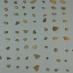 283806